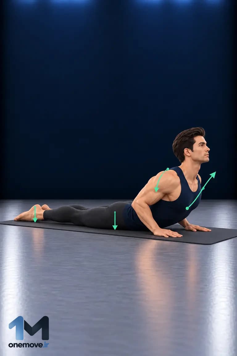 bhujangasana سلام بر خورشید در یوگا
