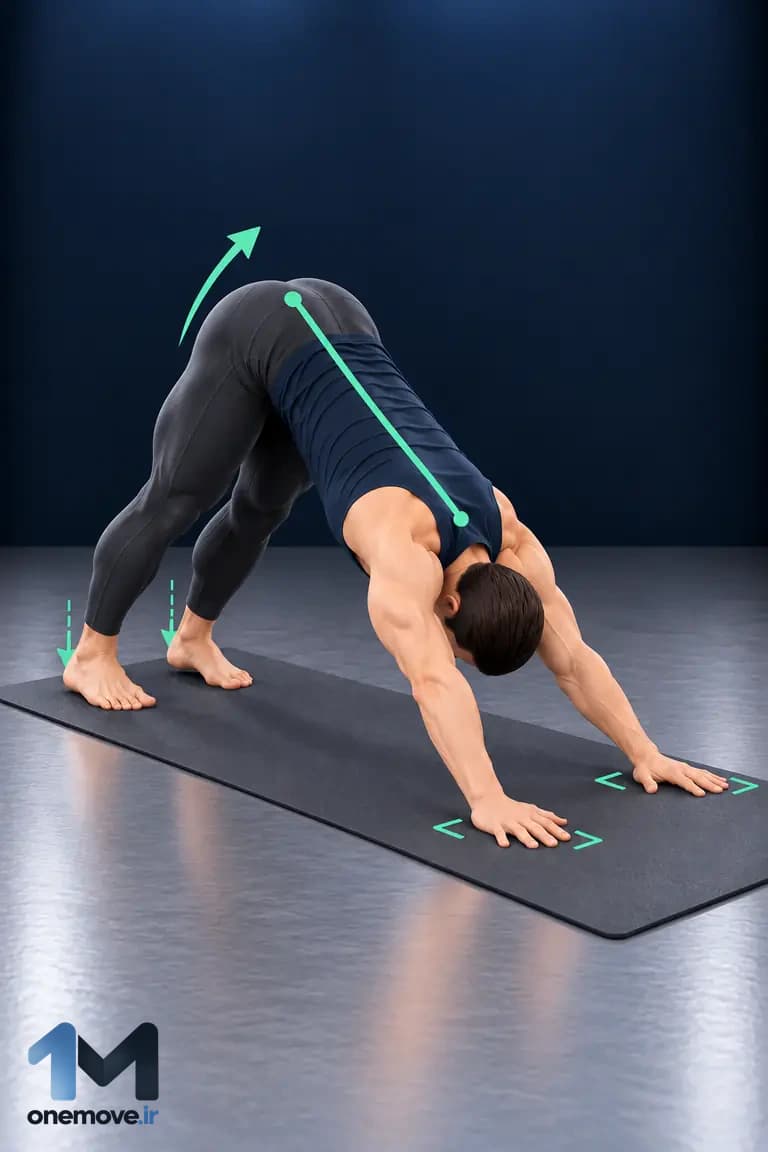 downward facing dog سلام بر خورشید در یوگا